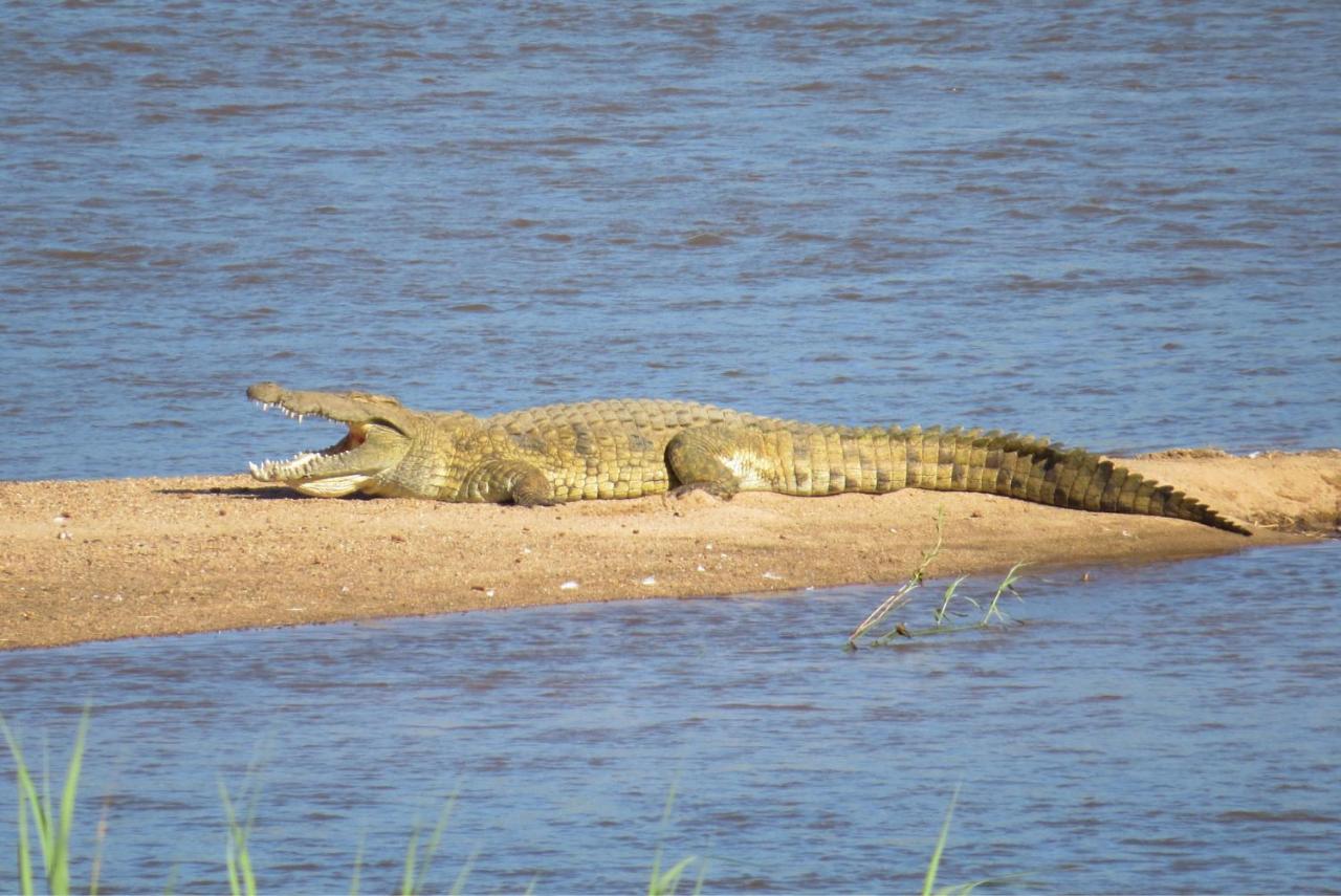 Crocodile Bridge Safari Lodge Komatipoort Exterior photo