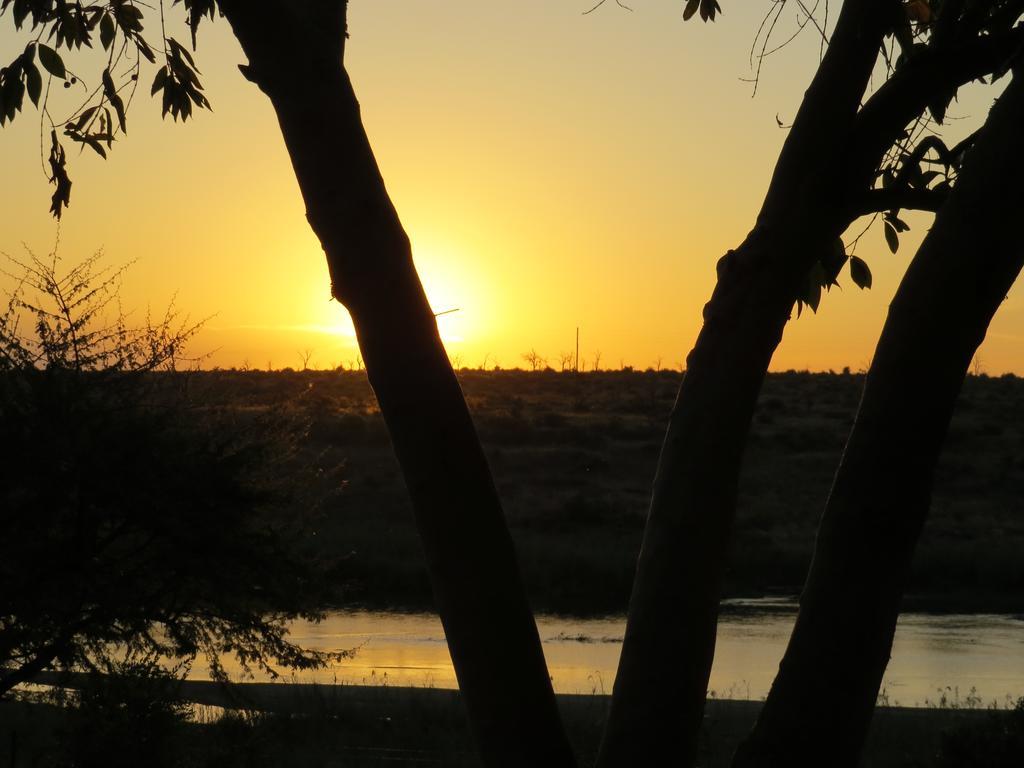 Crocodile Bridge Safari Lodge Komatipoort Exterior photo